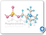 PC_Molecule